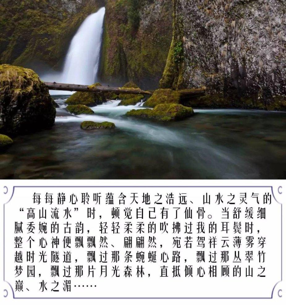逗小猴开心系列176