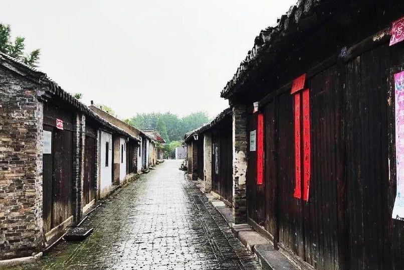 拯救昆虫群